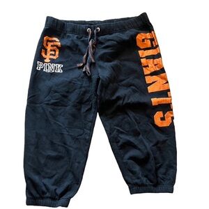 Victoria's Secret Pink Label Black Garment